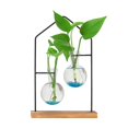 thumbnail image 2 of Maceta hidropónica para plantas, transparente, de madera, para escritorio Doble, 2 of 9