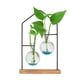 thumbnail image 2 of Terrario hidropónico con estaciones de propagación transparentes, maceta de vidrio para plantas Doble, 2 of 9