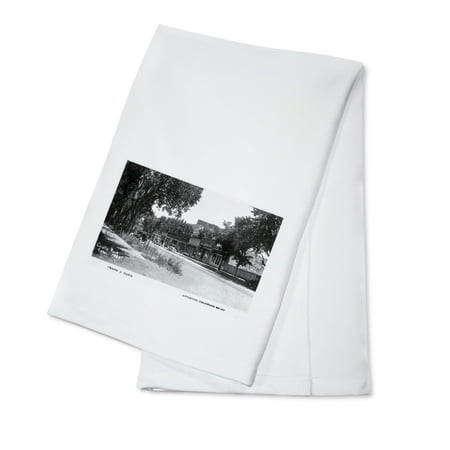 - Castle Rock, Colorado - Street Scene Photograph (100% Cotton Kitchen Towel)