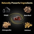thumbnail image 3 of Gomitas de Shilajit del Himalaya, 3 of 5