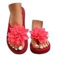 thumbnail image 2 of 2026 Women's 3D Floral Sandals Dressy Flatform Thongs Flip Flops Summer Beach Vacation Fashion Casual Flip Flops Elegant Flower Slippers (Male,Watermelon Red), 2 of 8