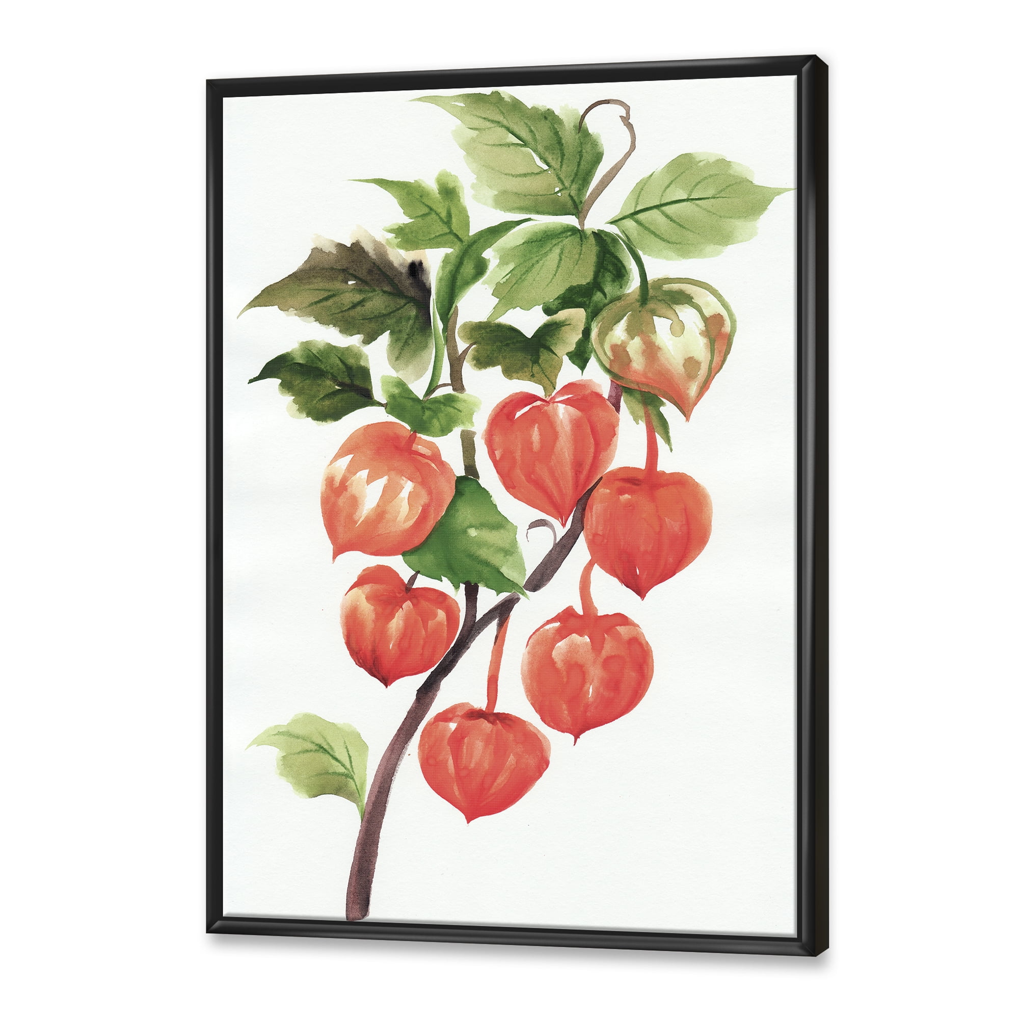 Designart 'A Red Physalis Branch' Traditional Framed Canvas Wall Art Print