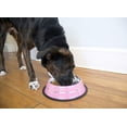 thumbnail image 4 of 2-Pack Color Splash Stripe Non-Skid Pet Bowl, For Dog or Cat, Pink, 96 Oz, 12 Cup, 4 of 7
