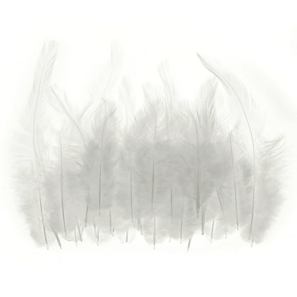 Unique Bargains 3-6 Inch Saddle Hackle Rooster Feather Bulk Natural Feathers Fluffy Craft Feathers White 50 Pcs