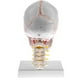 thumbnail image 4 of Réplicas de Modelos Anatómicos de Cráneo Tamaño Natural | Cuello Y Cervical | Adorno de Oficina de Laborato Yotijar Estatua de cráneo de cabeza humana, 4 of 10