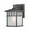 Olde World Iron, variant on 9117-68 Dolan Lighting Barton 1-Light Outdoor Wall Lantern-Winchester Finish