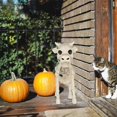 thumbnail image 3 of XGFHYJEH Halloween Cow Skeleton Decorations, Halloween Decoration Cow Skull Prop Ornament for Indoor Outdoor, Halloween Scary Decor for Home Outside Yard Lawn Garden Party, 3 of 7