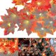 thumbnail image 1 of Guirnalda de Otoño JanHm Luces de Hadas 20 Luces Hoja de Arce, 1 of 5
