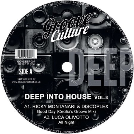 Various Artists - Deep Into House Vol. 3 / Various - Music & Performance - Vinyl