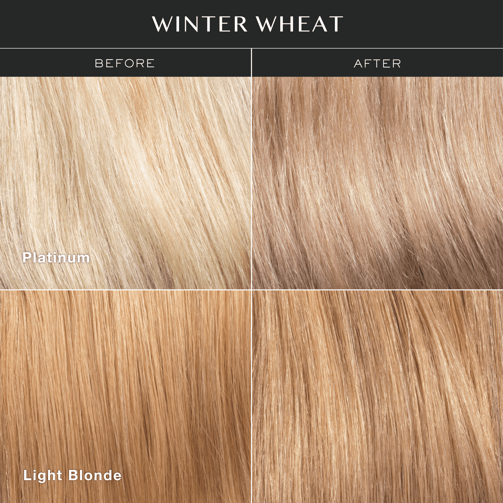 Kristin Ess Hair Gloss in Winter Wheat, Light Neutral Blonde - 4 Week Semi Permanent Hair Color for Women - Shine - Hair Dye Glaze