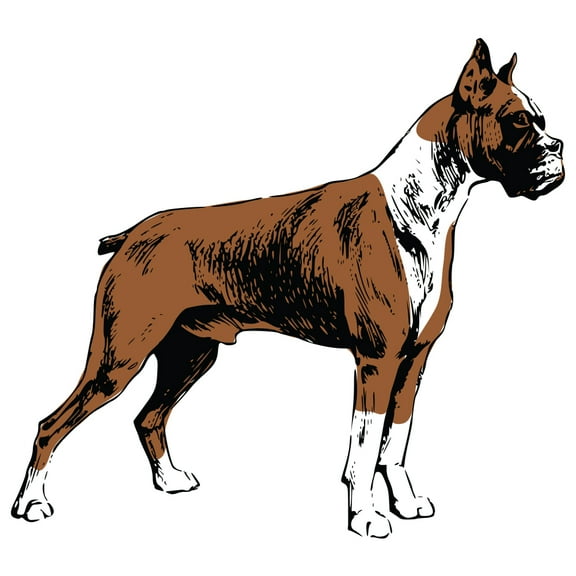 Boxer Decal | Indoor/Outdoor | Dog Lover Super Cute Sticker for SUV Windows, Dorm Rooms, Bedroom, Offices | SignMission personalized gift | 36"