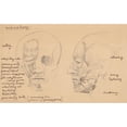 thumbnail image 2 of Stanisław Wyspiański 24x16 Gold Ornate Framed and Double Matted Museum Art Print Titled - Human Head Muscles (1884-1900), 2 of 4