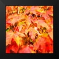 thumbnail image 2 of Hausenflock, Alan 20x20 Black Modern Framed Museum Art Print Titled - Autumn Leaves II, 2 of 5