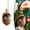 A1(F/3.14"/1pc), variant on Animal Forest Christmas Ornament,3.14" Woodland Xmas Tree Decoration,Acrylic Flat Acorn Hanging,Small Realistic Animal Decor, Animal Lovers Unique Gift Home Festival Party Winter Outside,1Pc
