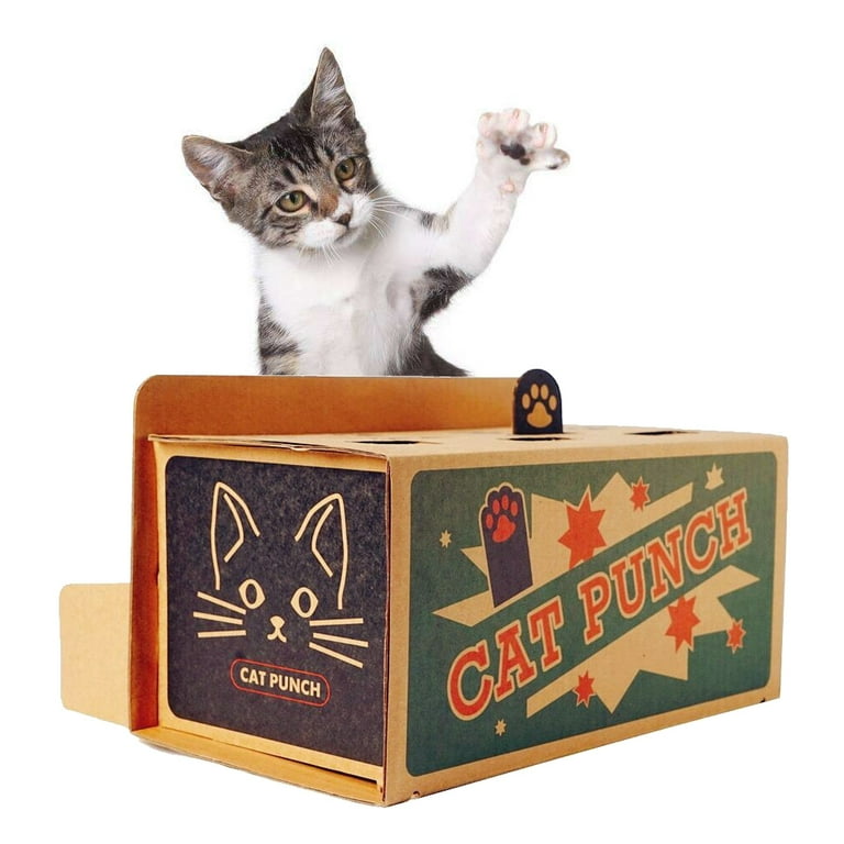Cat punch toy online