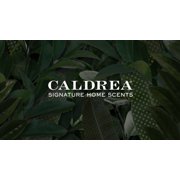Caldrea Dish Soap, Ginger Pomelo, 16 Oz