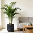 thumbnail image 3 of Olurrisa Large Round Planters Set of 2 (16.14"x15.75" & 11.8" x11.42'') - Lightweight Magnesium Oxide Plant Pot with Texture -Concrete Planter Pots with Drainage Hole – Indoor & Outdoor Use, 3 of 8