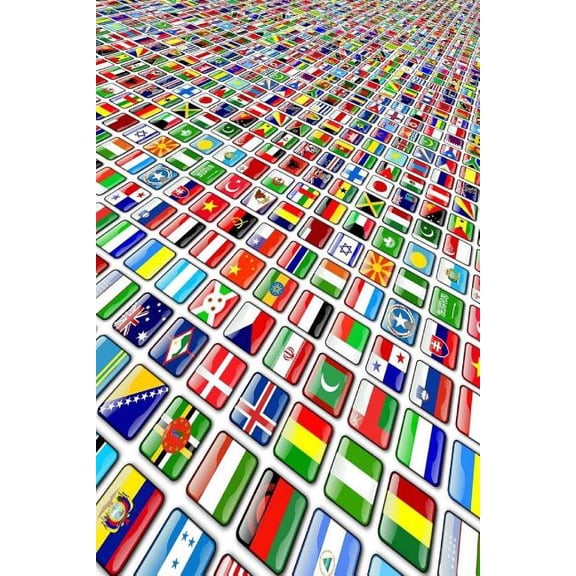 World Flags (Paperback)