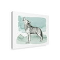 thumbnail image 2 of Trademark Fine Art 'Animal I' Canvas Art by Grace Popp, 2 of 4