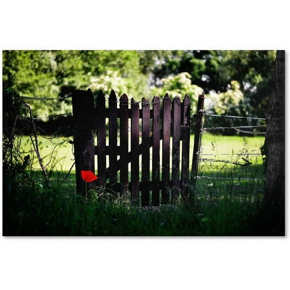 Trademark Fine Art "Press the Red Button" Canvas Art by Philippe Sainte-Laudy