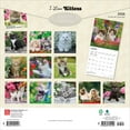 thumbnail image 2 of I Love Kittens | 2026 12x24" (Hanging) Square Wall Calendar | Plastic-Free, 2 of 9