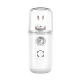 thumbnail image 2 of 1Piece Nano Facial Mister Handy Nano Mist Sprayer 30ml Visual Water Tank Portable Face Steamer Mini USB Nano Mister for Lash Extensions, Skin Care, Makeup, 2 of 8