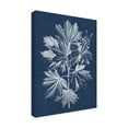 thumbnail image 2 of Trademark Fine Art 'Foliage Chintz V' Canvas Art by Vision Studio, 2 of 4