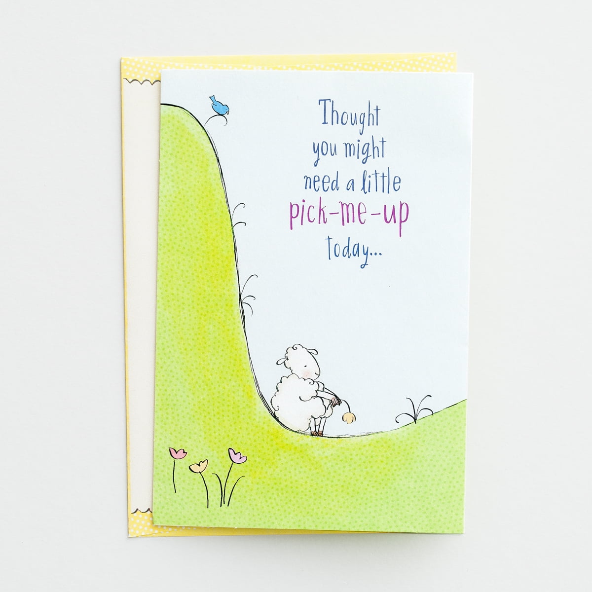 DaySpring, Really Woolly, Praying For You, Pick Me Up, 4 Premium Cards