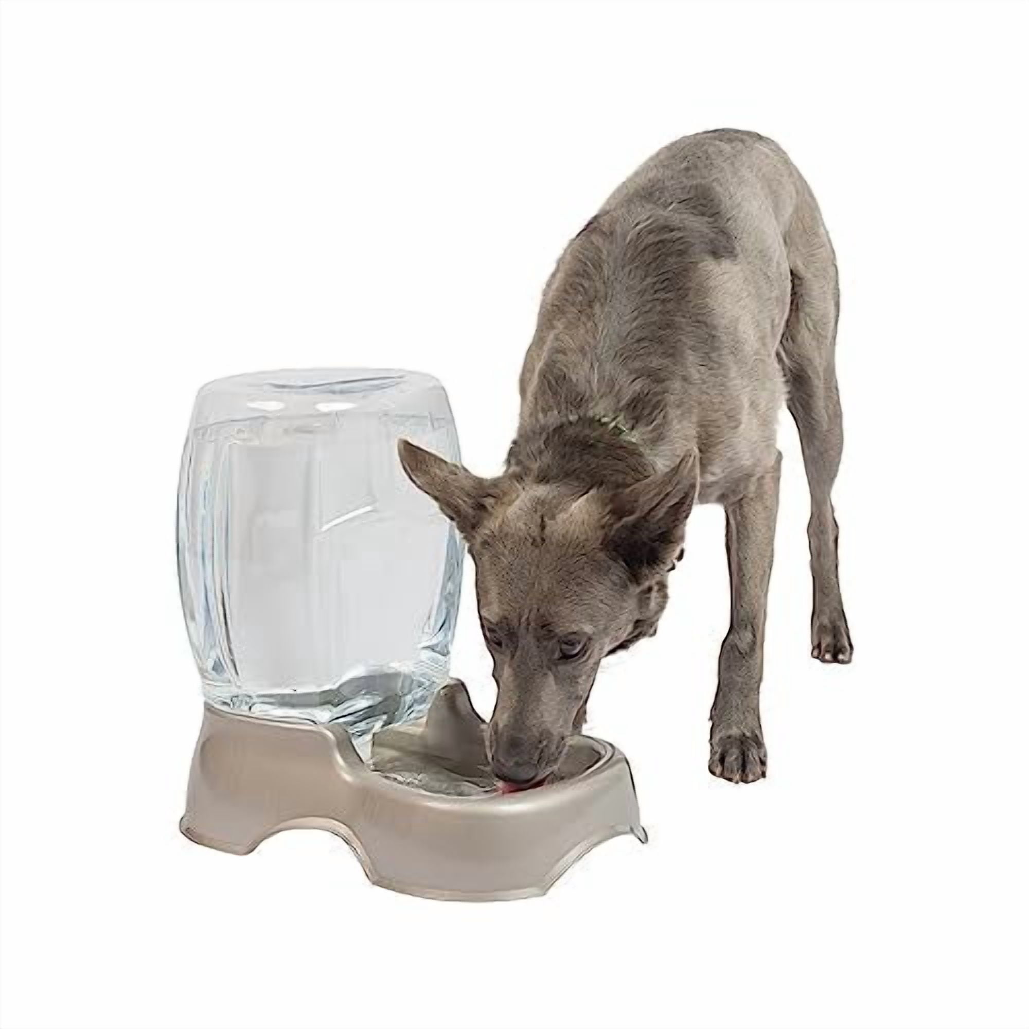 Petmate Pet Café Gravity Waterer Water Bowl Station for Dogs and Cats, 1.5 gallon, Pearl Tan