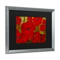 thumbnail image 2 of Trademark Fine Art 'Poppies' Canvas Art by Anonymous, 2 of 4