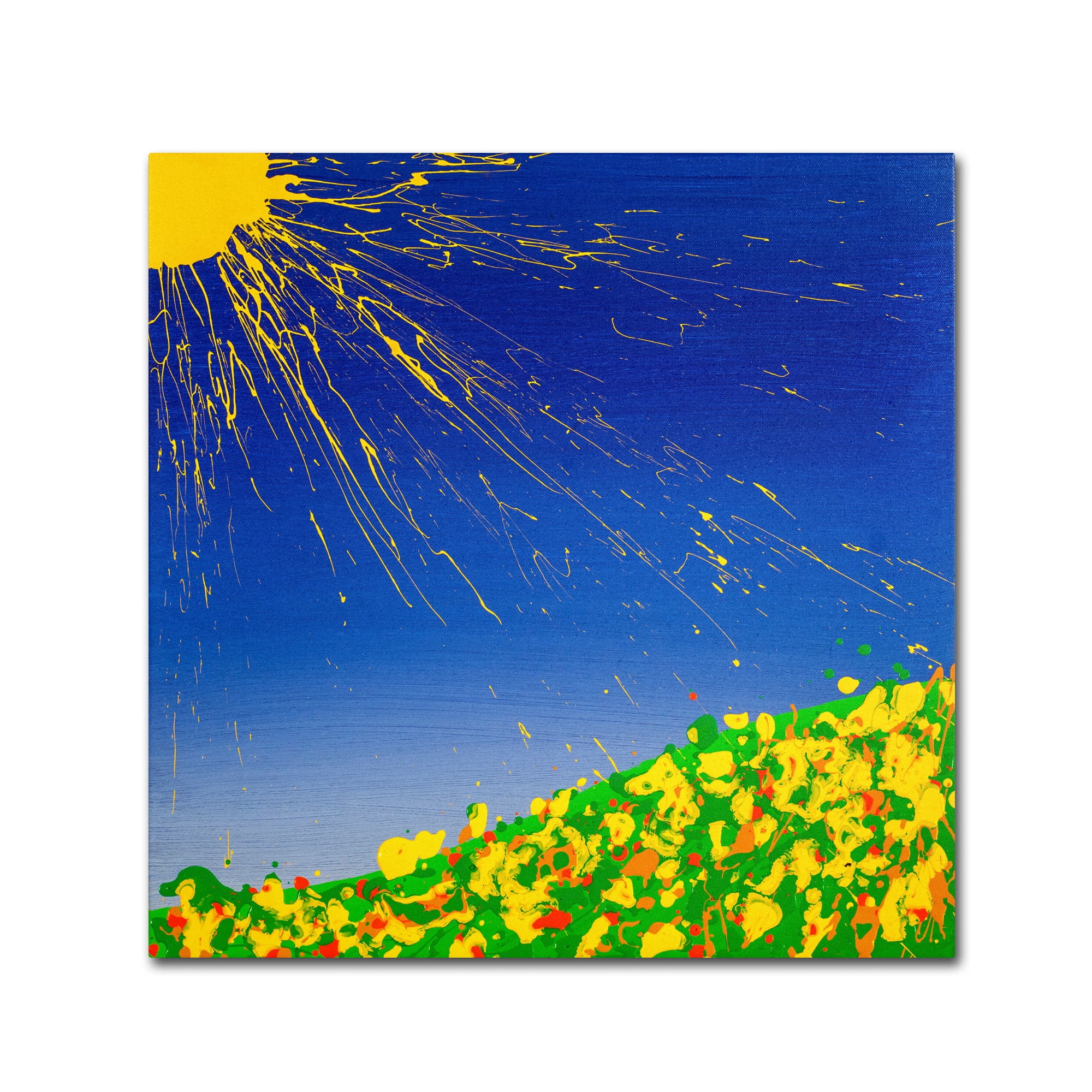Trademark Fine Art "Sunny Field" Canvas Art by Roderick Stevens
