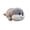 Seal gray, variant on Chubby Face Lying Plush Toy Soft Stuffed Cute Plush Doll