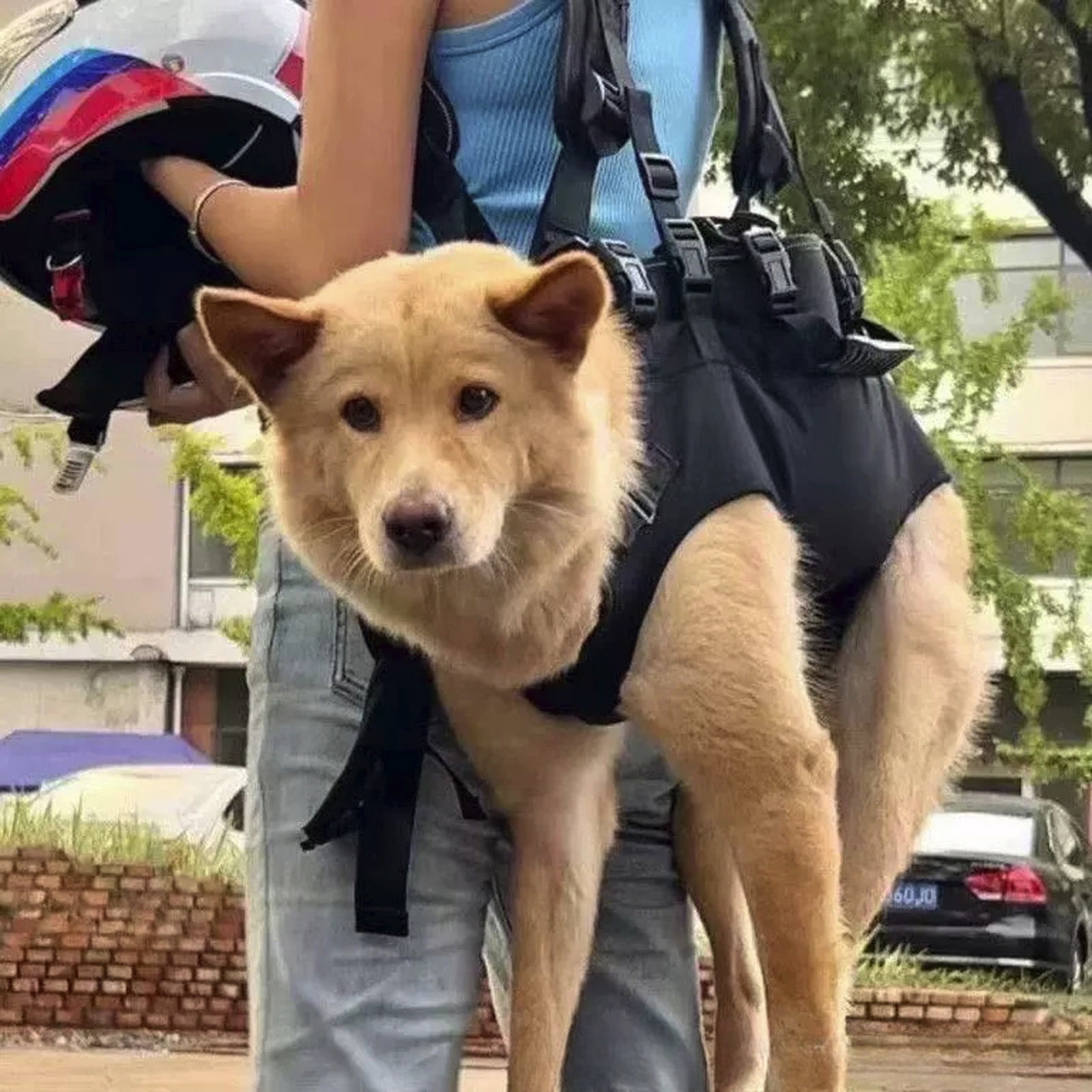 Pet Product Class Dog Sling Adjustable Horizontal Portable Dog Backpack Wearable Multifunctional Travel Front Support for Outdoor Adventures and Cycling