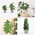 thumbnail image 3 of Shisuyan Garden Trellis Net White 1Set 118X12.6X0.08In Polyester Plastic, 3 of 8