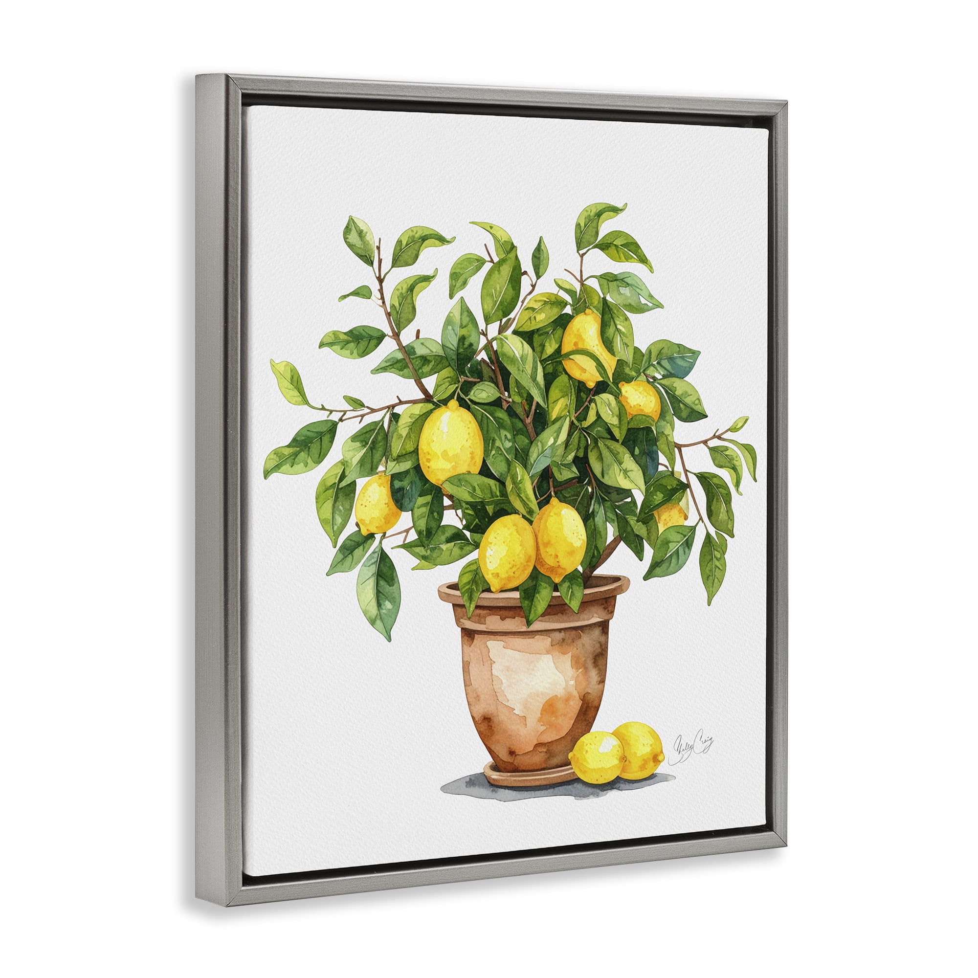 Stupell Industries Potted Lemon Tree Gray Framed Floater Canvas Wall Art, design by Shelly Craig