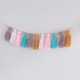 thumbnail image 4 of KARLSITEK Colorful Tassel Banner Decorative Wall Hanging for Home Wedding Birthday Decoration, 4 of 4