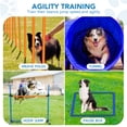 thumbnail image 2 of Dog Agility Training Equipment Set, Multi-Functional Dog Agility Obstacle Course Backyard Starter Kit with Tunnel, Weave Poles, Adjustable Hurdle, Jump Ring, Pause Box, Toys, and Carrying Bag, 2 of 7