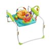 Fisher-Price First Steps Jumperoo