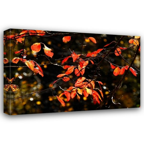 Alan Hausenflock 40x28 Gallery Wrapped Canvas Wall Art Titled - Autumn Leaves VI