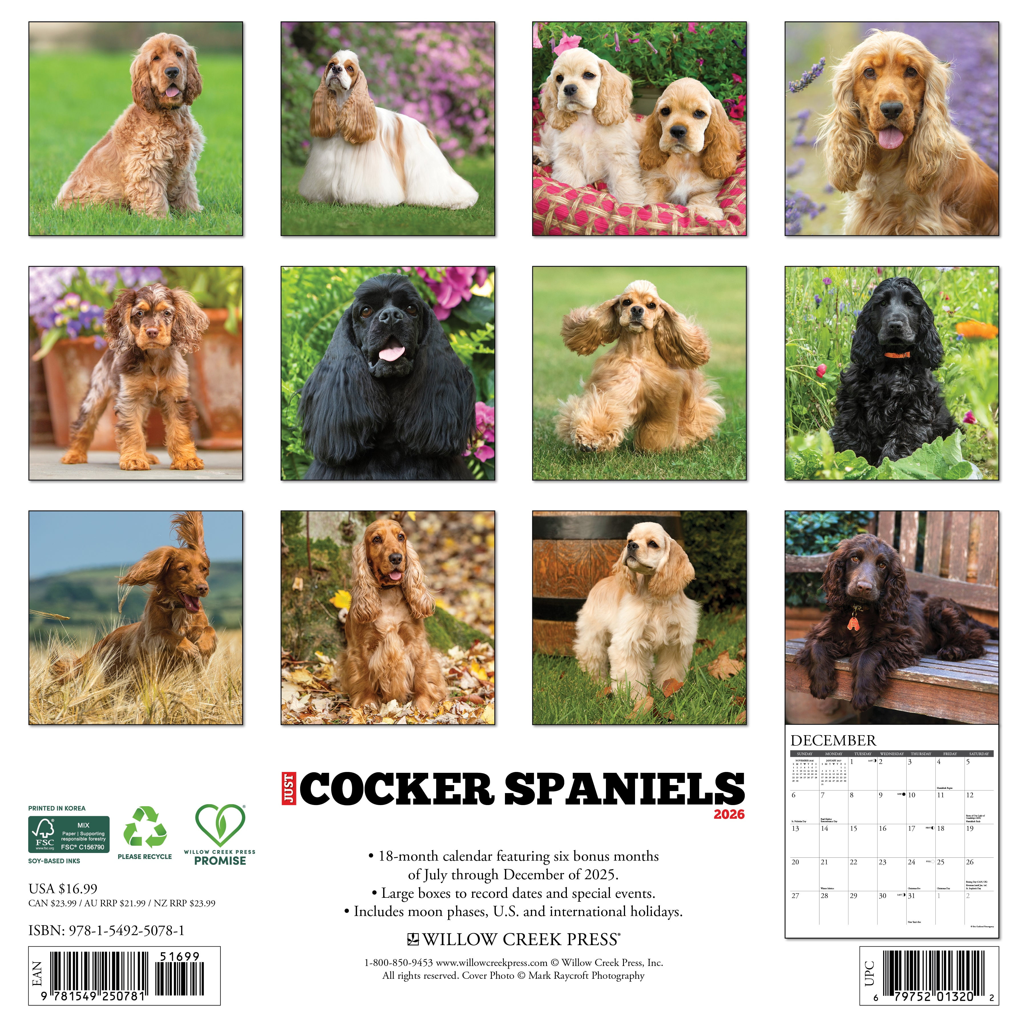 Cocker Spaniels 2026 Wall Calendar, (Paperback)