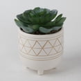 thumbnail image 3 of Flora Bunda Tabletop 4.75" Artificial Cactus in Gols Geo Ceramic Pot, 3 of 3