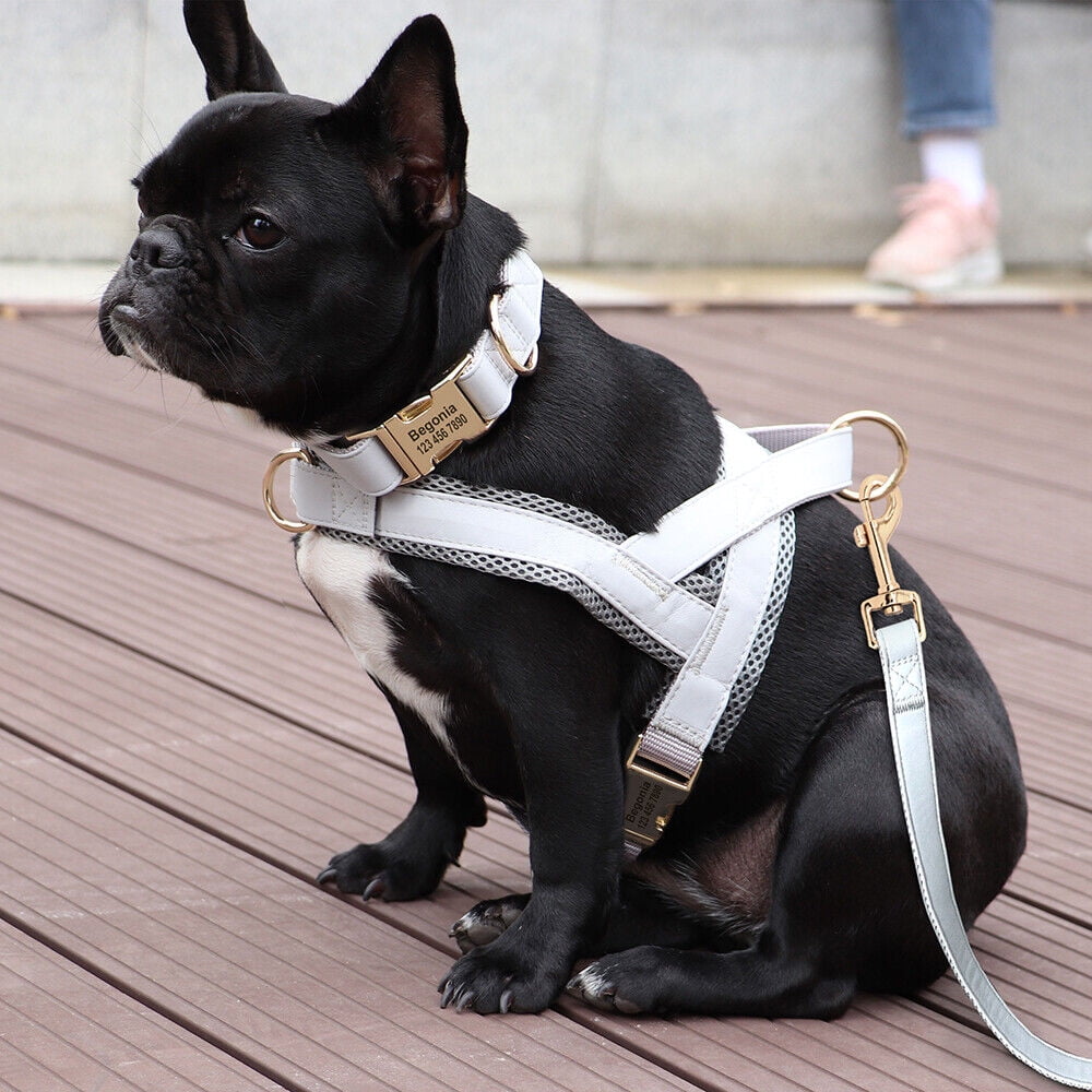 Pet Artist 3pcs Personalized Dog Harness & Collar & Leash set Metal ID Name Metal Buckle Mesh Padded Adjustable