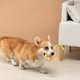 thumbnail image 2 of Juguete interactivo para perros que chirría, de tela suave con relleno de PP, resistente para morder y jugar, para interior y exterior, para cachorros y razas pequeñas y medianas, 2 of 6