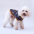 thumbnail image 2 of 2 piezas de ropa para perros de la serie Halloween, ropa de otoño para mascotas, ropa de decoración para mascotas, talla S (sombrero mágico de cabeza de calabaza), 2 of 4