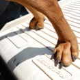 thumbnail image 4 of PetSTEP Non-Slip Rubberized Plastic Original Folding Pet Ramp, Graphite/Gray, 4 of 4