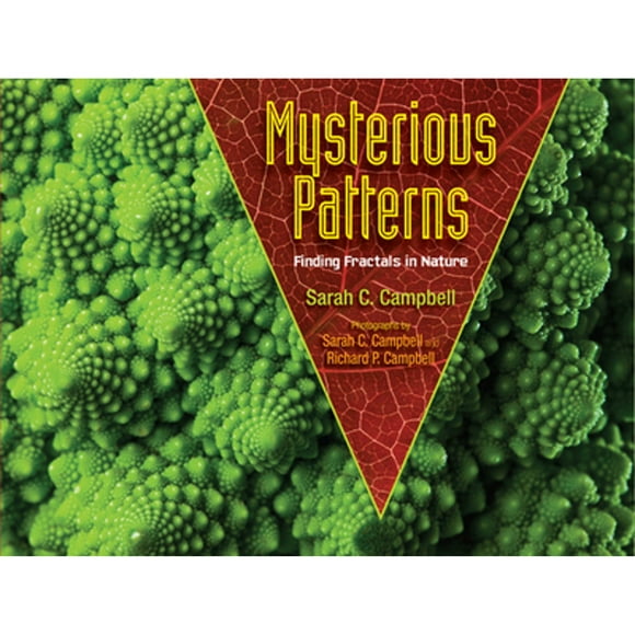 Pre-Owned Mysterious Patterns: Finding Fractals in Nature (Hardcover 9781620916278) by Sarah C Campbell, Richard P Campbell