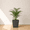 Black, variant on Ecobo 23.6 inches Eco-Friendly Rectangular Pot Planter, Elemento Indoor/Outdoor use, Durable, Versatile & Lightweight, Designed by Brazilian Artisans, Contemporary All-Weather Design – Gray