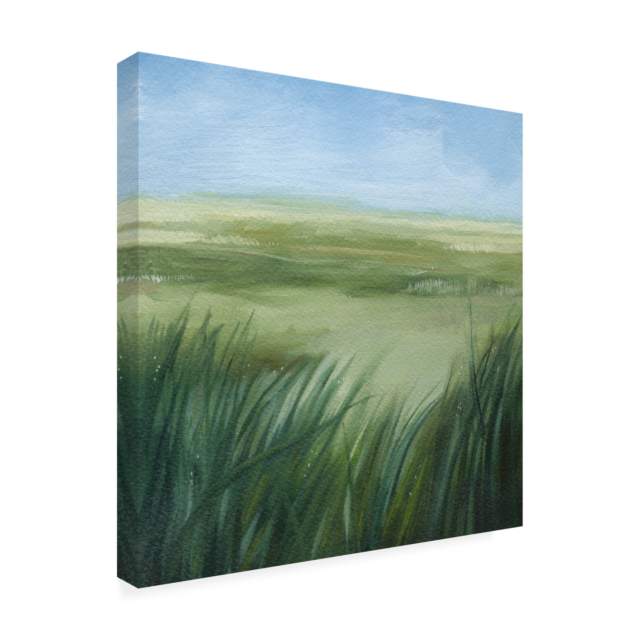 Trademark Fine Art Grace Popp Tall Grass Plains I Canvas Wall Art