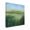 thumbnail image 4 of Trademark Fine Art Grace Popp Tall Grass Plains I Canvas Wall Art, 4 of 4