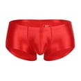 thumbnail image 3 of Men's Underwear Breathable Sheer Shiny Low Rise Briefs for Daily Wear Soft Comfort Everyday Lightweight Everyday Briefs, 3 of 3